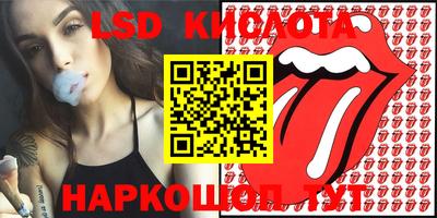 прущие крисы Новокубанск