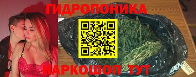прущие крисы Новокубанск