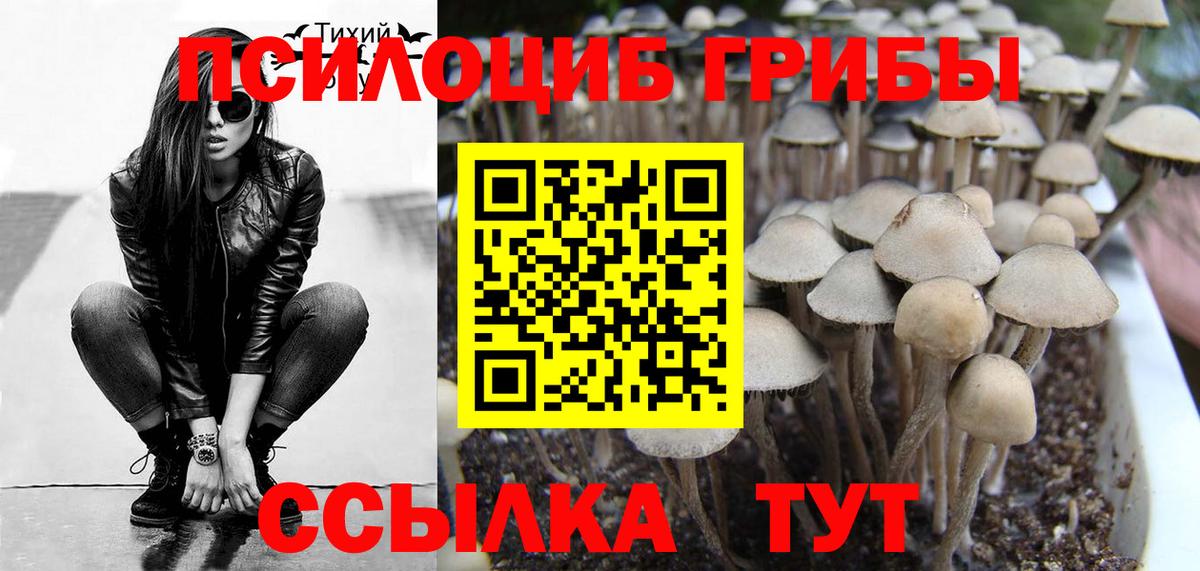 ГАШ  А ПВП СК   МАРИХУАНА  МАРИХУАНА  МЕФ кристаллы  Белая Калитва  Гашиш  Вход с VPN  COCAIN 